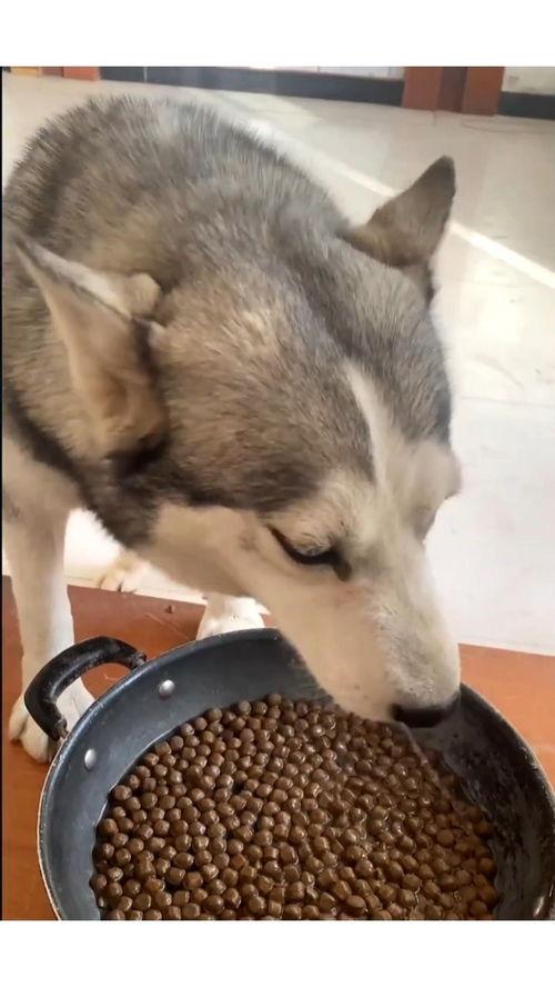 哈妹吃瓜,揭秘娱乐圈那些不为人知的幕后故事