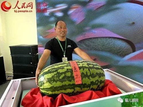 5吃瓜群众网,网络舆论场的新势力崛起