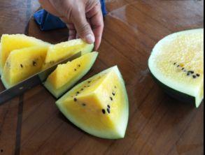 首页玲珑有瓜吃,揭秘首页美食背后的故事