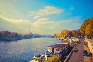 塞纳河吃瓜周报,吃瓜周报揭秘娱乐圈幕后故事