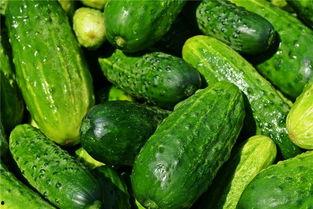 梦见自己吃块瓜,揭秘梦中吃瓜的神秘寓意