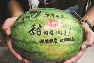 旅游景点吃瓜,探寻旅游景点中的特色美食之旅