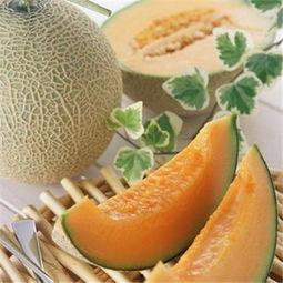 一边吃哈密瓜一边喝肉汤,夏日美食新体验