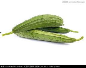 跟吃瓜相似词汇,揭秘吃瓜群众的趣味世界