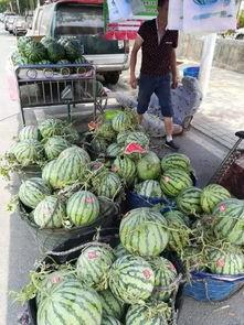 苏州吃瓜事件起因