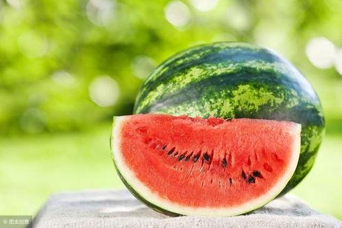 吃瓜后感悟,揭秘娱乐圈背后的真相与启示