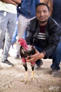 农村巴扎吃瓜,农村巴扎里的夏日风情