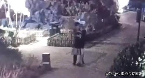 新泰吃瓜事件视频曝光,视频曝光揭示惊人真相