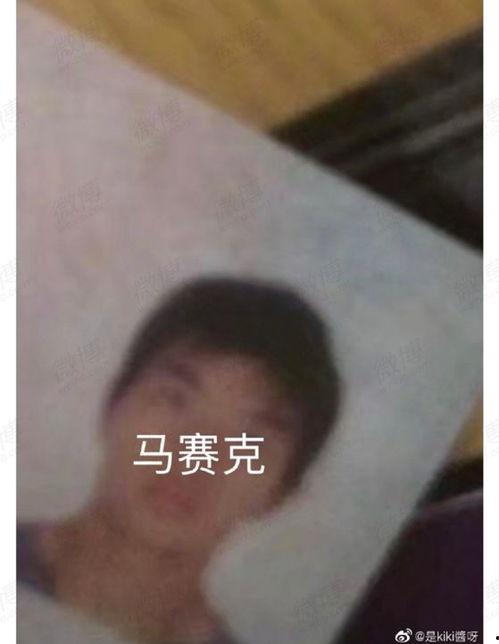 吃瓜满舒克,揭秘娱乐圈的“瓜田”奇遇记