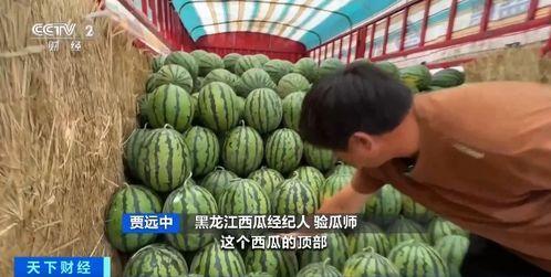 吃瓜锦鲤抄,揭秘网络红人的崛起之路