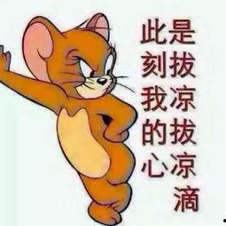 全网吃瓜群众分享,揭秘吃瓜群众的瓜田奇遇记