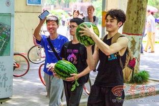 农林 吃瓜,吃瓜也能吃出大智慧