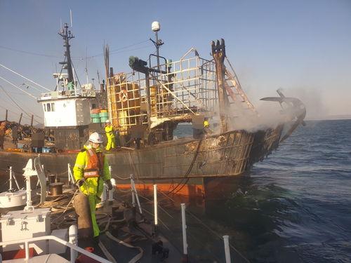 舟山渔船吃瓜事件始末,一场意外引发的舆论风波