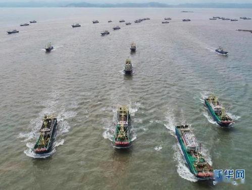 舟山渔船吃瓜事件始末,一场意外引发的舆论风波