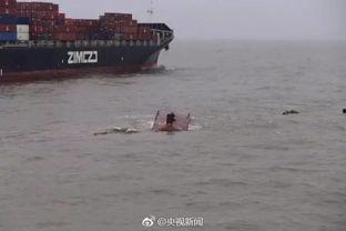 舟山渔船吃瓜事件始末,一场意外引发的舆论风波