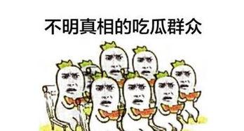 不要再听吃瓜群众,揭秘“吃瓜群众”背后的真相与反思