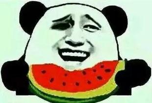 不要再听吃瓜群众,揭秘“吃瓜群众”背后的真相与反思