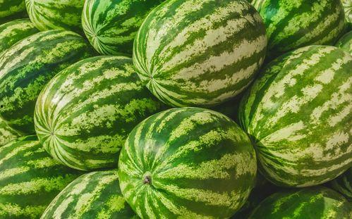 在哪可以吃瓜,哪里可以畅享美味瓜果盛宴