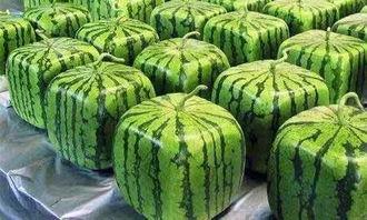 在线解惑吃瓜,吃瓜群众如何轻松获取热点资讯