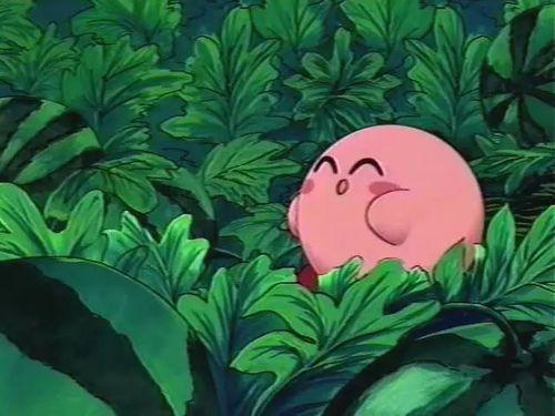 道具 吃瓜专属,解锁娱乐圈幕后真相的神秘道具