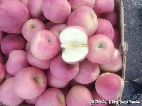 呆瓜能吃吗石瓜吃不动了,一场关于食物的趣味对话