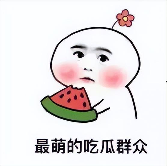 呆瓜能吃吗石瓜吃不动了,一场关于食物的趣味对话