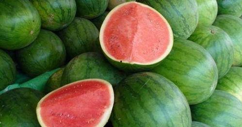 吃瓜了没营养,揭秘网络八卦背后的真相与反思