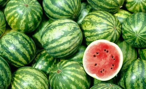 吃瓜了没营养,揭秘网络八卦背后的真相与反思