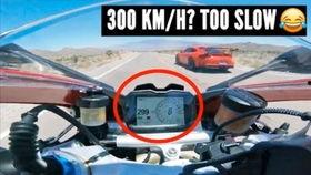 深夜兰博吃瓜,揭秘娱乐圈幕后真相