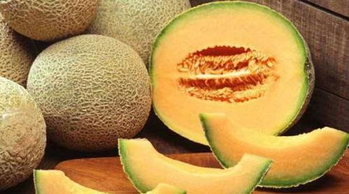 吃哈密瓜可以吃鱿鱼,美味碰撞的夏日料理新主张