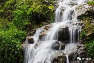 夏日小溪吃瓜拍照