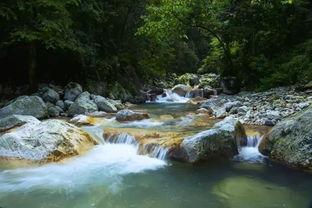 夏日小溪吃瓜拍照