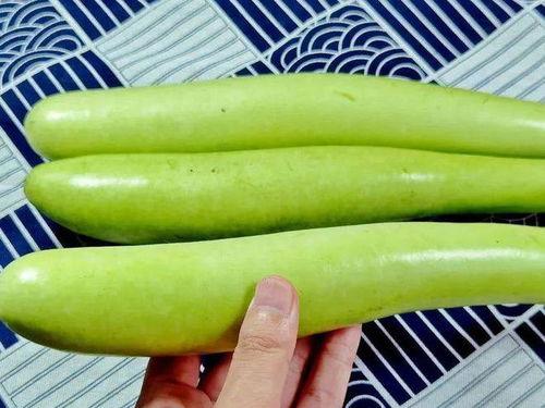 老瓠子瓜怎么吃,家常美味新体验