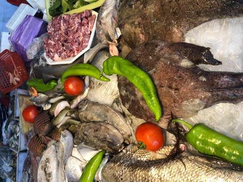 东江钓鱼通宵吃瓜,通宵吃瓜乐无边