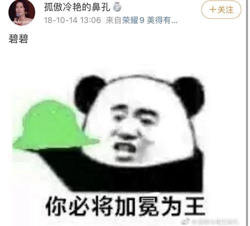 吃瓜人才租,网络时代的娱乐风向标