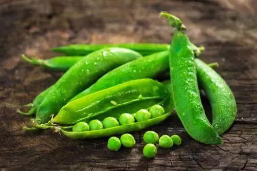 吃瓜得瓜吃豆人,揭秘人生中的因果循环