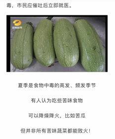 吃瓜得瓜吃豆人,揭秘人生中的因果循环