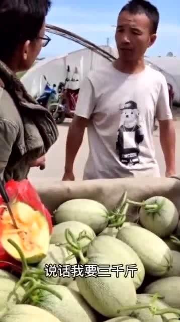 忧郁装深沉吃瓜,揭秘深沉吃瓜者的内心世界