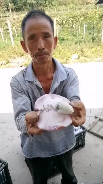 吃瓜大叔照片大全,趣味盎然的瞬间集锦