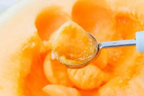 米粒吃蜜瓜,甜蜜滋味尽享其中