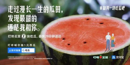 只有吃瓜的甜,一场味蕾的奇妙之旅