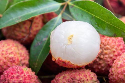 小暑吃瓜大暑吃渣的意思