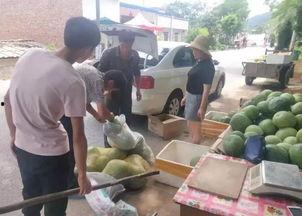 偃师顾县镇吃瓜