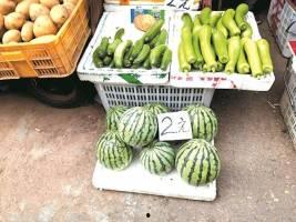 自由吃瓜基地介绍,揭秘网络舆论的自由乐园