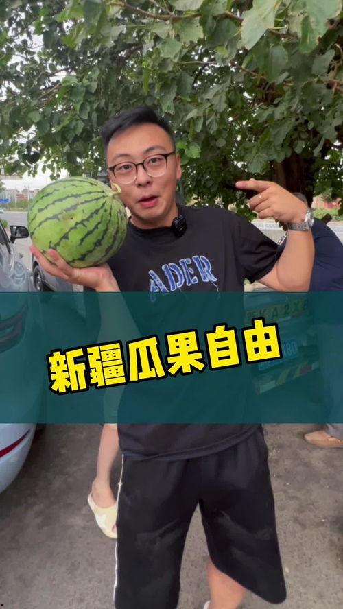 吃瓜自由是谁,网络热词背后的文化现象与价值观探讨