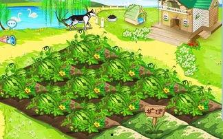 吃瓜的文化内涵,揭秘网络时代下的文化现象与心理解读