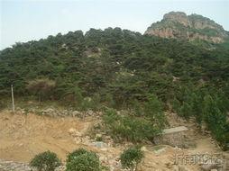 山顶吃瓜场景,一场别开生面的夏日盛宴