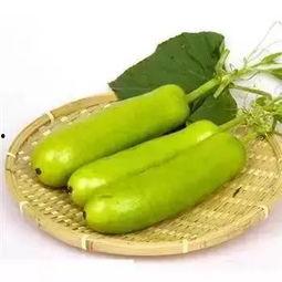 宁波鄞州吃瓜,瓜果飘香，品味夏日田园风情