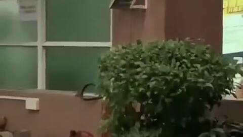 禹城吃瓜新闻,揭秘当地热门事件背后的真相与争议