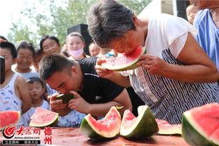 禹城吃瓜新闻,揭秘当地热门事件背后的真相与争议